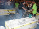bw05burnout4.JPG