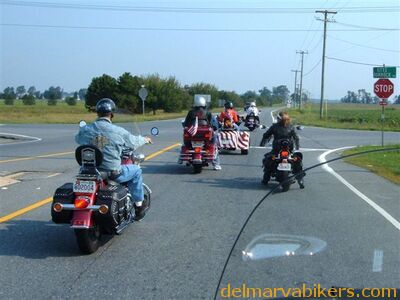 do06113.jpg