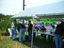 hg06035.JPG