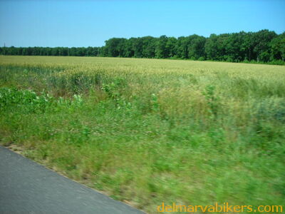 st06280.JPG