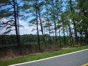 st06360.JPG