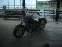 ce06085.JPG
