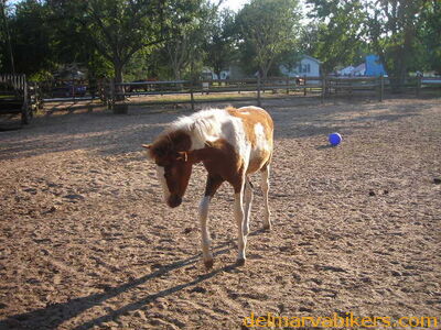 ch06042.JPG