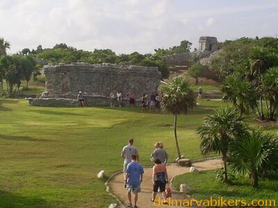 cruse06117.jpg