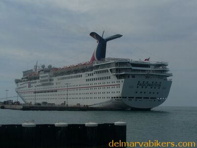 cruse2006079.jpg