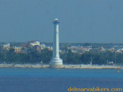 cruse2006090.jpg