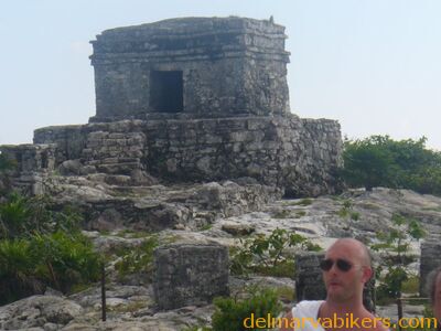 cruse2006203.jpg
