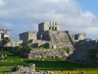 cruse2006215.jpg