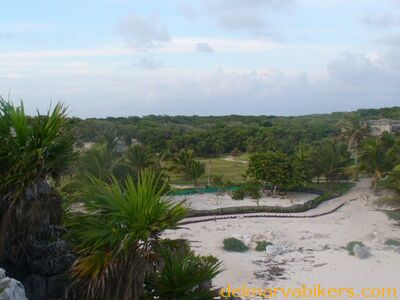cruse2006304.jpg