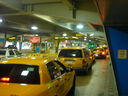 cr06039.JPG