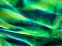 cr06318.JPG