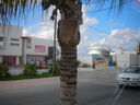 cr06373.JPG