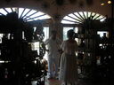 cr06380.JPG
