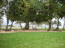 cr06647.JPG