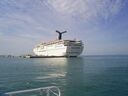 cruse06027.jpg