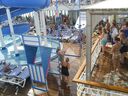cruse06051.jpg