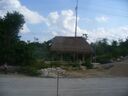 cruse2006121.jpg