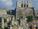 cruse2006225.jpg