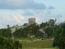 cruse2006265.jpg