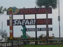 cruse2006349.jpg