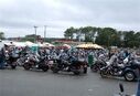bw06334.jpg