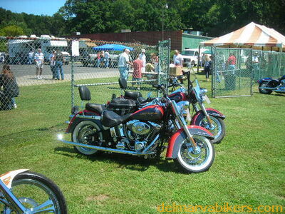 em06065.JPG