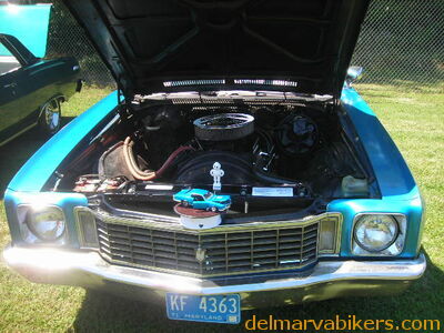 em06070.JPG