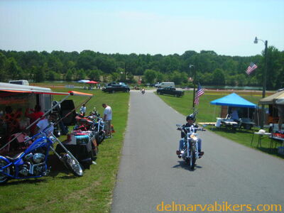 vf06040.JPG