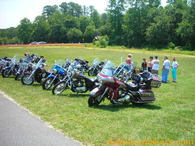 vf06063.JPG