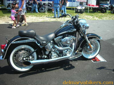 vf06083.JPG
