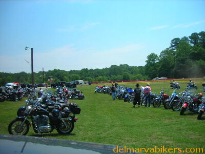 vf06107.JPG