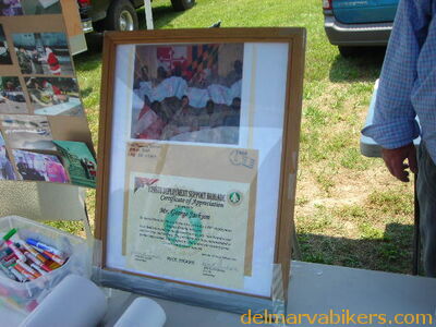 vf06117.JPG