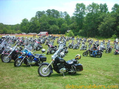 vf06122.JPG