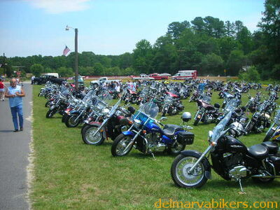 vf06129.JPG