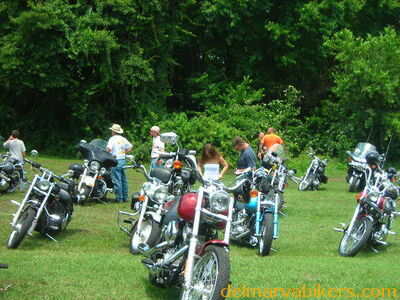 vf06131.JPG