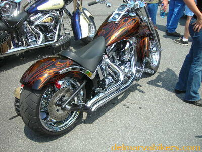 vf06137.JPG