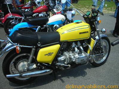 vf06151.JPG