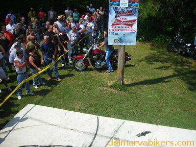 vf06196.JPG