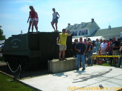 vf06198.JPG