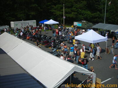 vf06235.JPG
