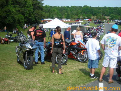 vf06250.JPG