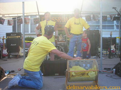 vf06283.JPG