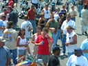 vf06186.JPG