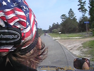 dn06001.gif