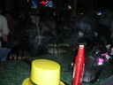 ny06228.JPG