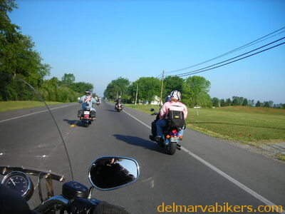 rt06012.jpg