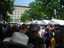rt06115.jpg