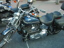 sm06231.JPG