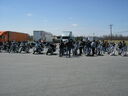 pf0616.jpg