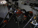 sa06062.JPG